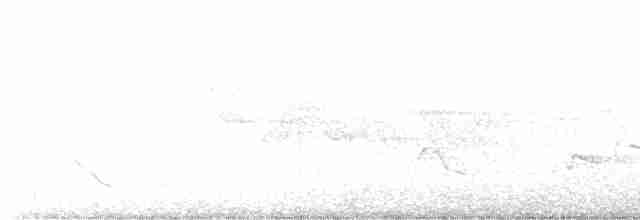 Cerulean Warbler - ML438550421