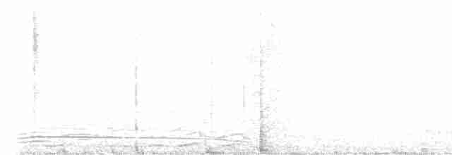 Gunnison Çalı Tavuğu - ML438570721