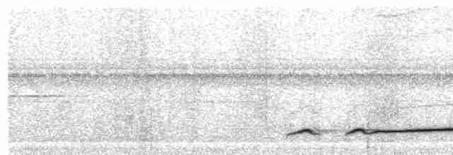 Лінивка-смугохвіст західна - ML438721961