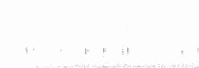 Al Kanatlı Karatavuk [phoeniceus grubu] - ML438788101