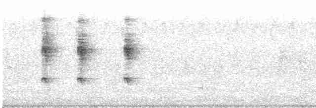 Gray Whistler (Brown) - ML438806901