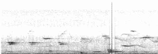 Сова-голконіг далекосхідна - ML438836441