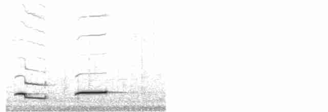 Grallaire de Przewalski - ML438857061