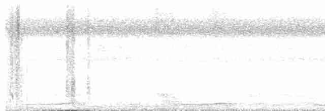 Сова-голконіг далекосхідна - ML438870711