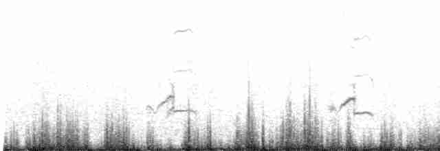 太平洋金斑鴴 - ML438889111