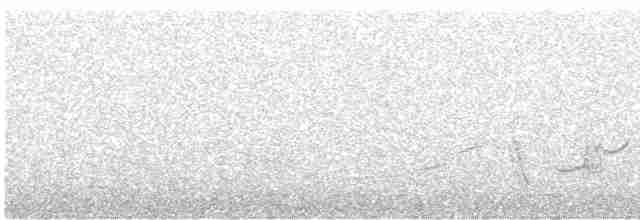 Тремблер сірий - ML439156201
