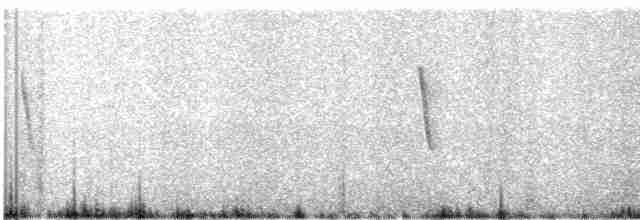 Чернокрылая земляная горлица - ML439209361