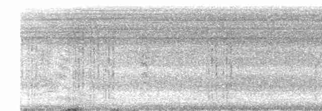 Black-naped Tern - ML439271111