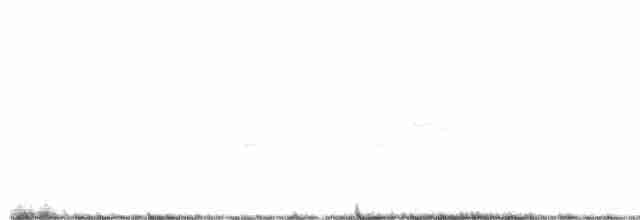 Eastern Black-eared Wheatear - ML439298251