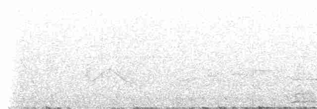 Rufous-faced Warbler - ML439307121