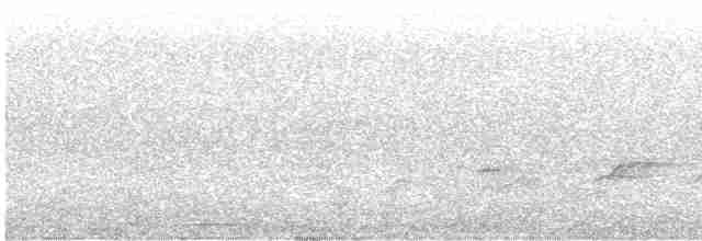 Gray Whistler (Brown) - ML439322621