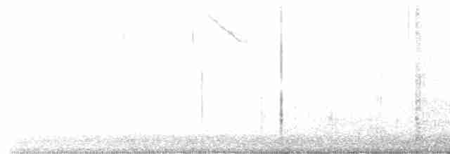 Bewick Çıtkuşu - ML439332821