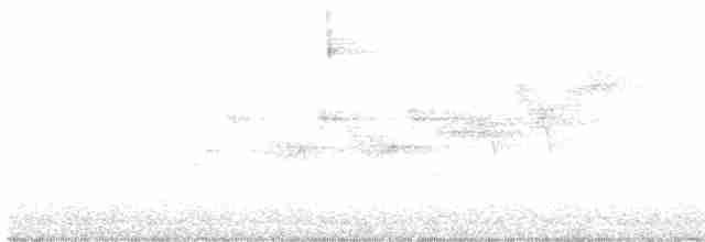 Black-throated Gray Warbler - ML439435671