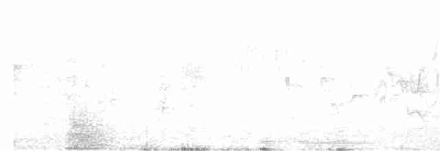Common Redstart (Ehrenberg's) - ML439522221