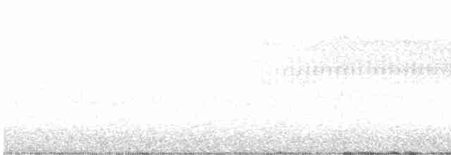 Paruline vermivore - ML439567531