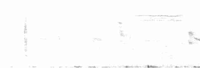 White-browed Meadowlark - ML439569821