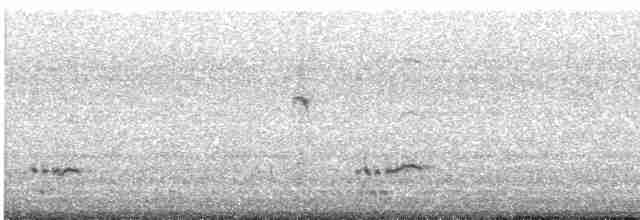 Северный сорокопут - ML439611681