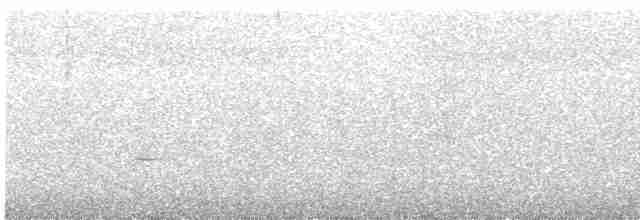 Thicket Tinamou - ML439632441