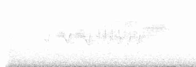 Cerulean Warbler - ML439731511