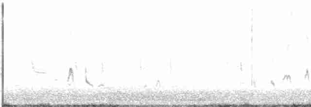 Короткоклювый бекасовидный веретенник - ML439802141