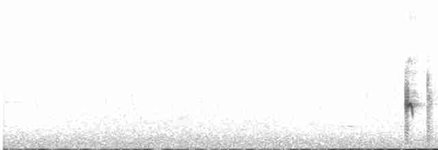 Kara Kuyruklu Yertavuğu - ML439812671