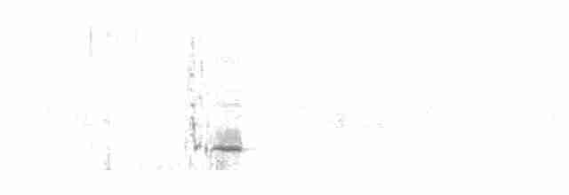ťuhýk šedý (ssp. aucheri/buryi) - ML439852141
