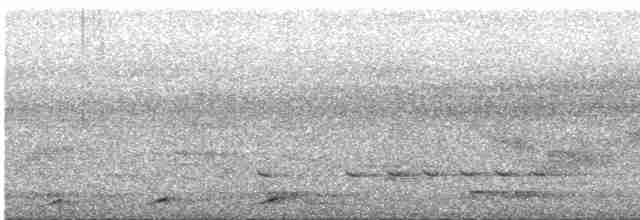 holub světleoký - ML439910461