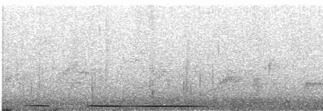 holub bledočelý - ML439951741