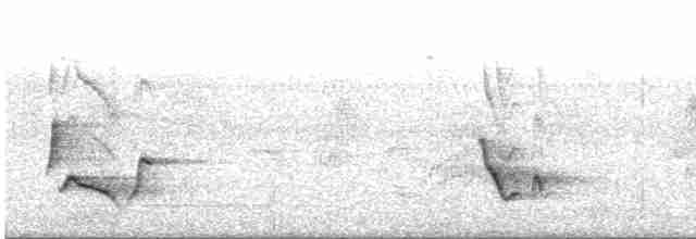 Пароарія чубата - ML440036671