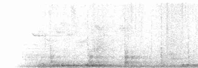 Gallinule poule-d'eau - ML440100241