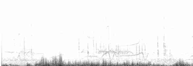 Чайка чубата - ML440107481