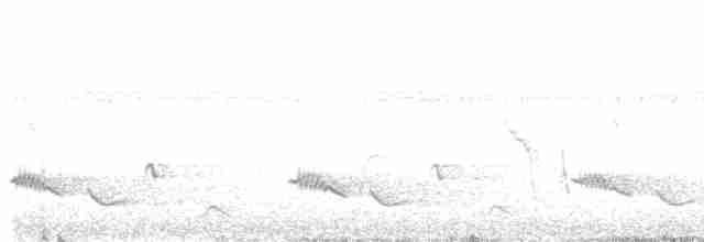 Oriole à queue jaune - ML440148751
