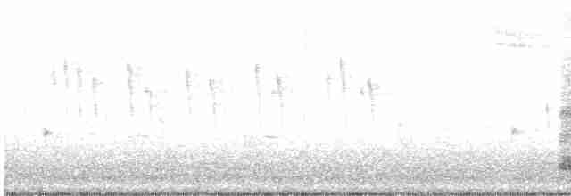Yellow-crowned Night Heron - ML440180551