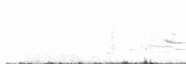 Common Gallinule - ML440199141