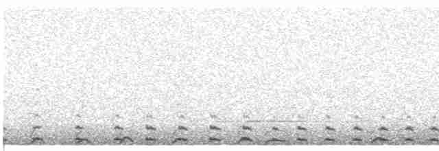 Great Grebe - ML440203971