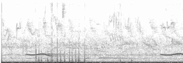Gray-streaked Flycatcher - ML440244751