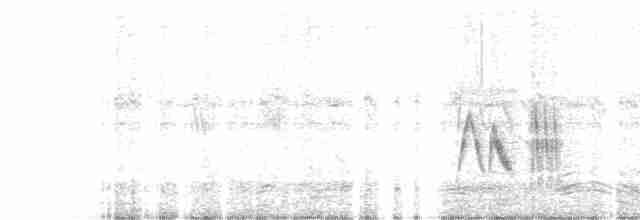 メジロシラギクタイランチョウ - ML440253931