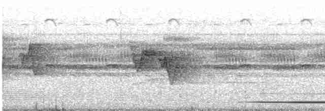 Tinamou de Boucard - ML440255011