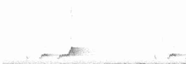 Mexikonachtschwalbe - ML440270721
