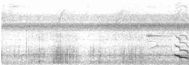 White-tailed Trogon - ML440284481
