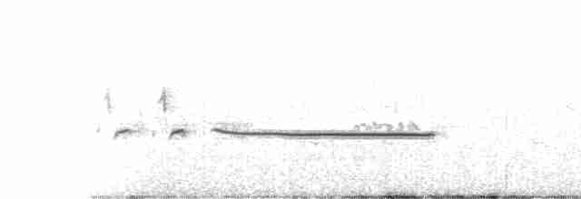 Rosy-throated Longclaw - ML440297081