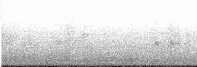 Black-crowned Night Heron - ML440297131