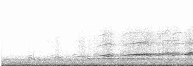 Haubenschlangenadler [cheela-Gruppe] - ML440297651
