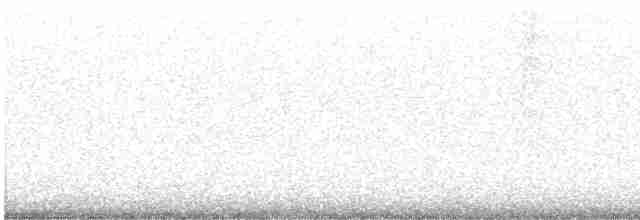 Nankeen Night-Heron - ML440310771