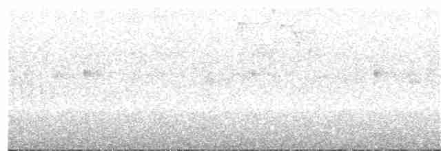 Kara Gagalı Koca Vireo - ML44037071
