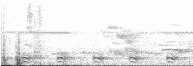 Slaty-tailed Trogon (Massena) - ML440439811
