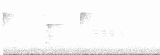 strakapoud americký [skupina villosus] - ML440465571