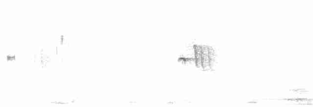 Weißbrauenschnäpper - ML44048101