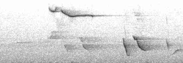 Чешуйчатогрудый пересмешник - ML44049