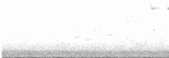 Blackpoll Warbler - ML440496501